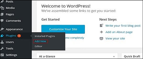 WordPress  安装插件
