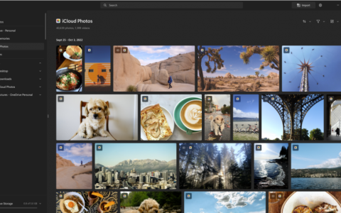更新了 Windows 11 的照片应用程序，现在向 Windows 预览体验成员推出了 iCloud 照片