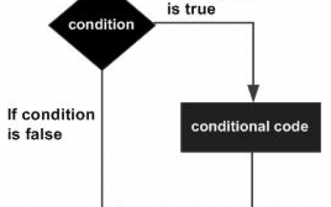 C# if 语句 | C# 判断