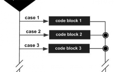 C# switch 语句 | C# 判断