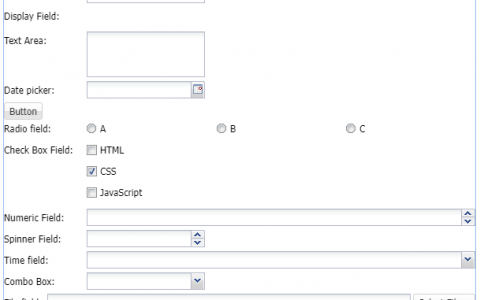 Ext.js：表单（Form）