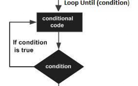 VB.Net 教程：Do 循环