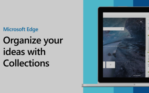 Windows 11 应用：整理 Microsoft Edge 中的一些创意
