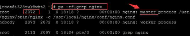 Nginx 基本操作：启动、停止、重启命令。